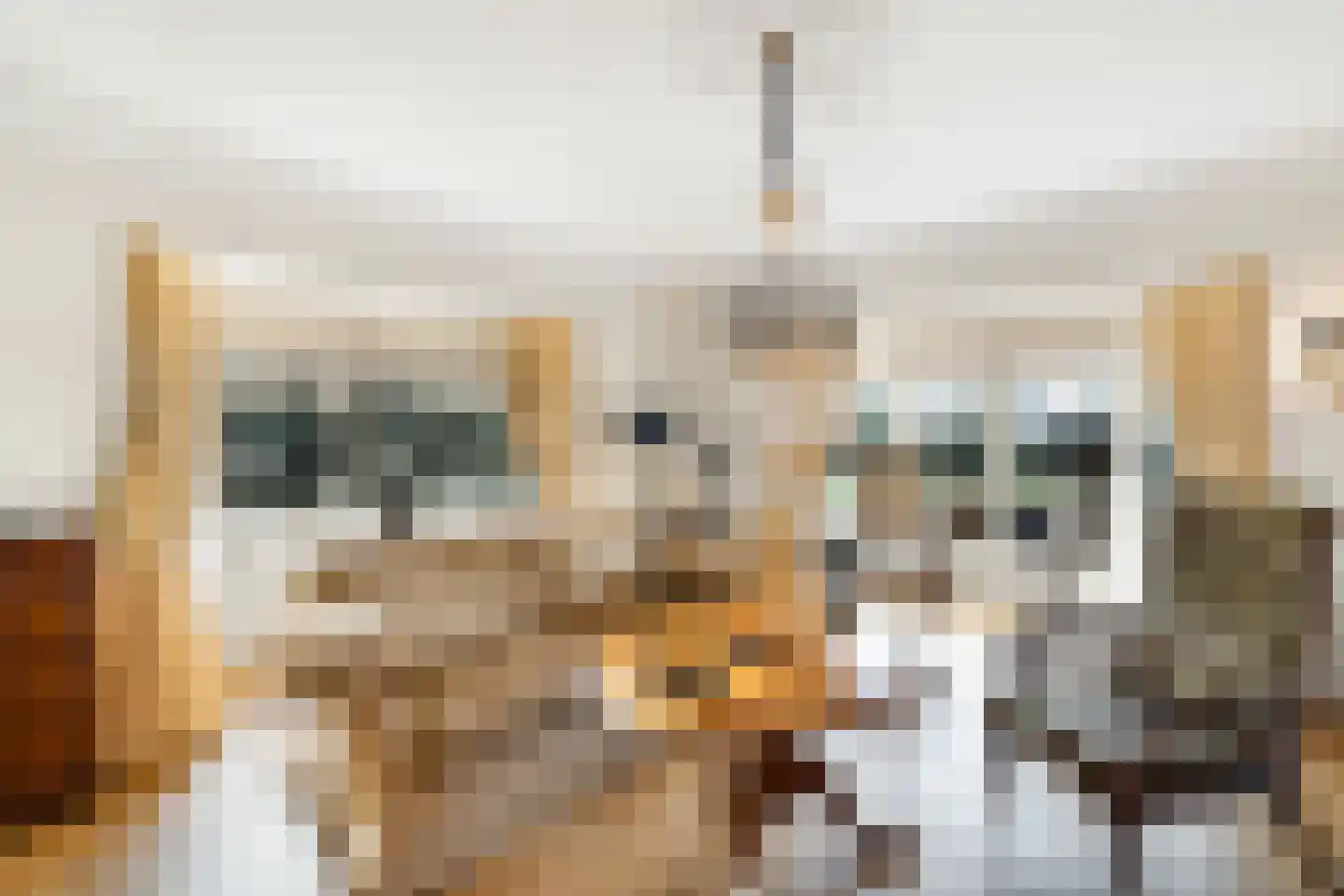 Langeweg 105 Sommelsdijk thumbnail 16