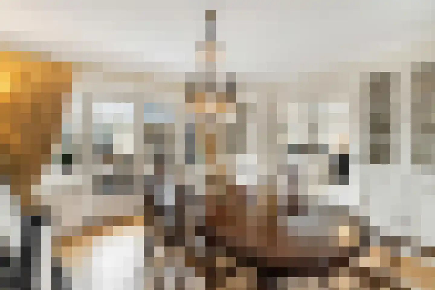 Langeweg 105 Sommelsdijk thumbnail 20