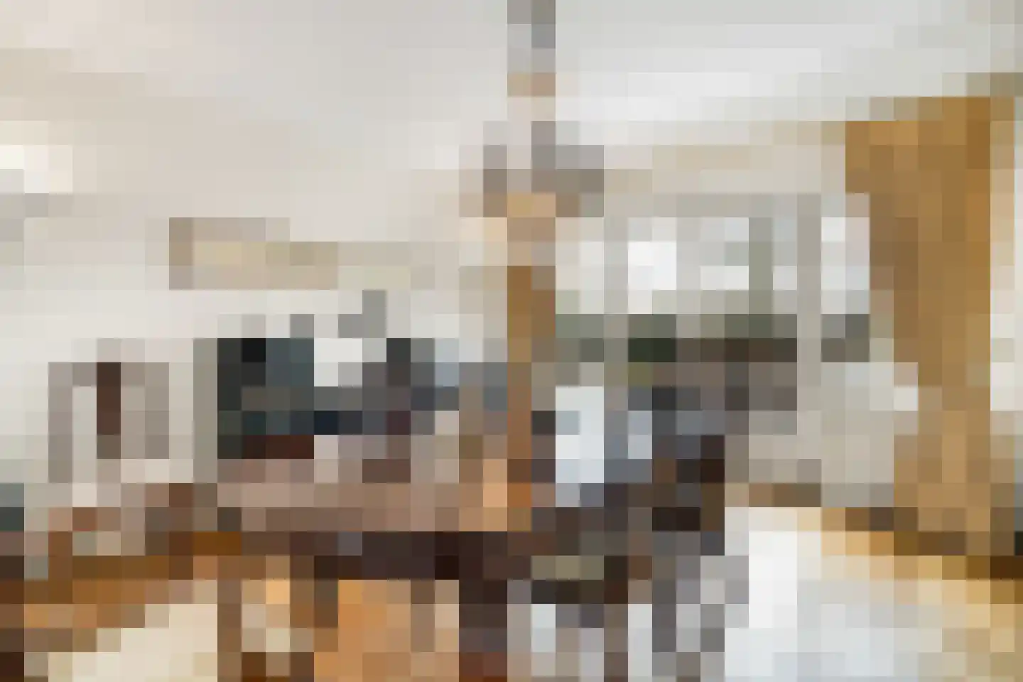 Langeweg 105 Sommelsdijk thumbnail 21