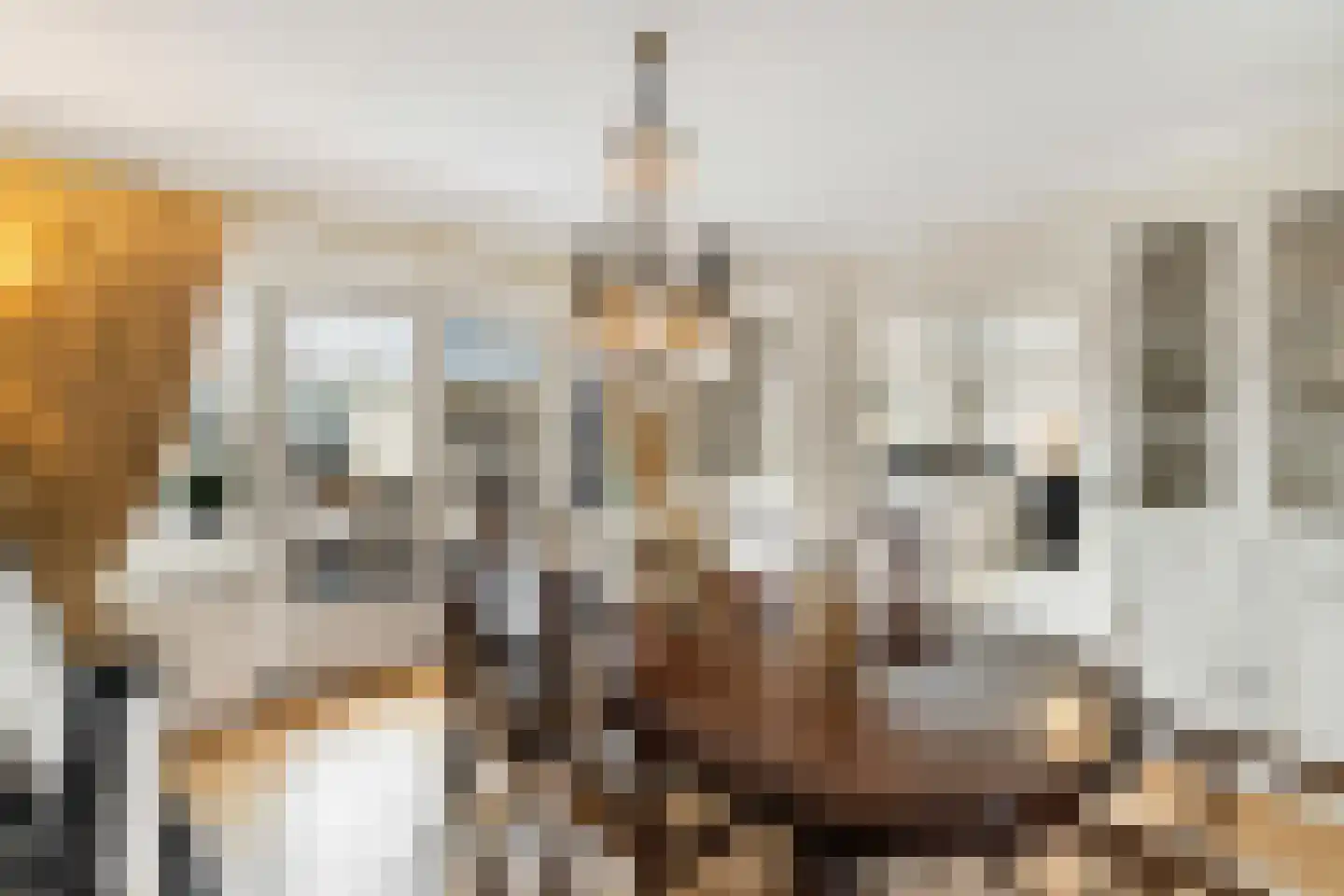 Langeweg 105 Sommelsdijk thumbnail 24