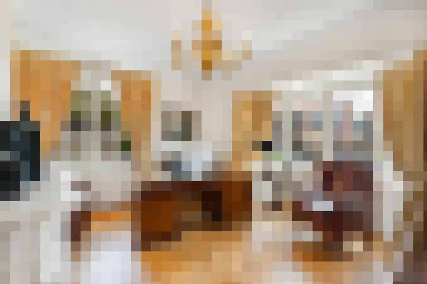 Langeweg 105 Sommelsdijk thumbnail 25