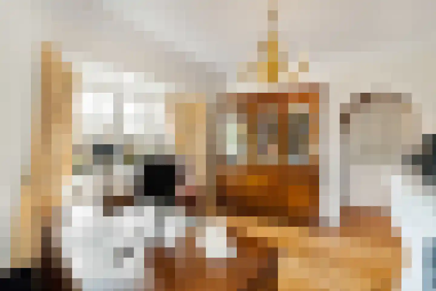 Langeweg 105 Sommelsdijk thumbnail 26