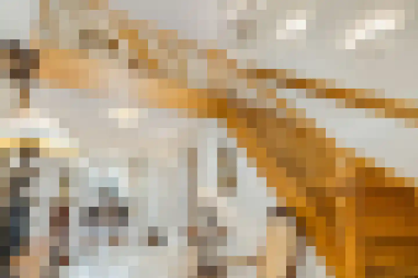 Langeweg 105 Sommelsdijk thumbnail 29