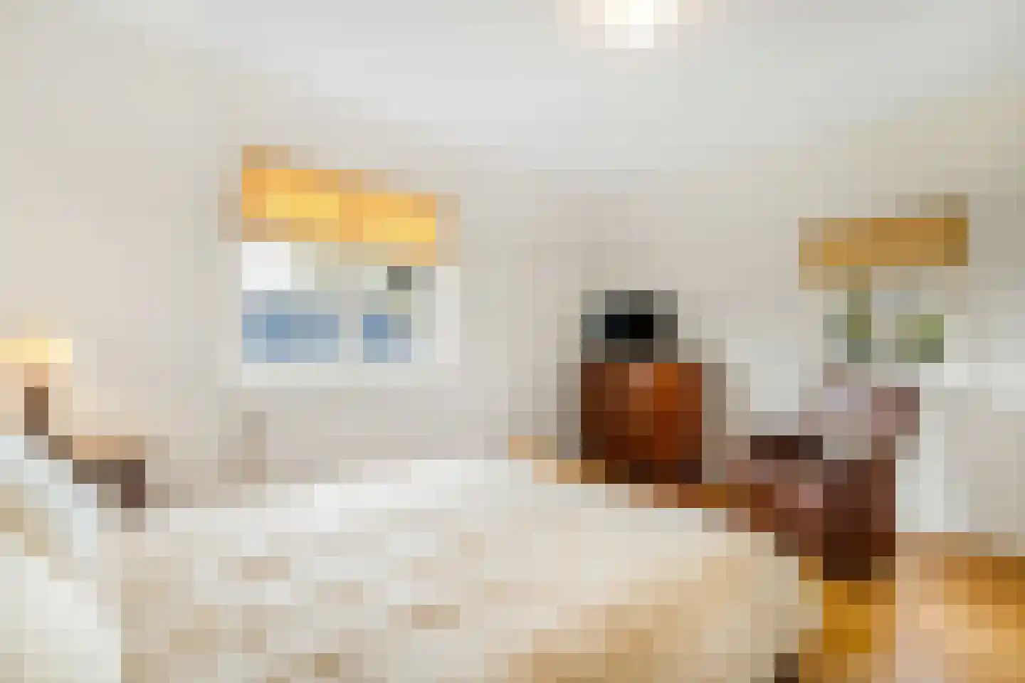 Langeweg 105 Sommelsdijk thumbnail 33