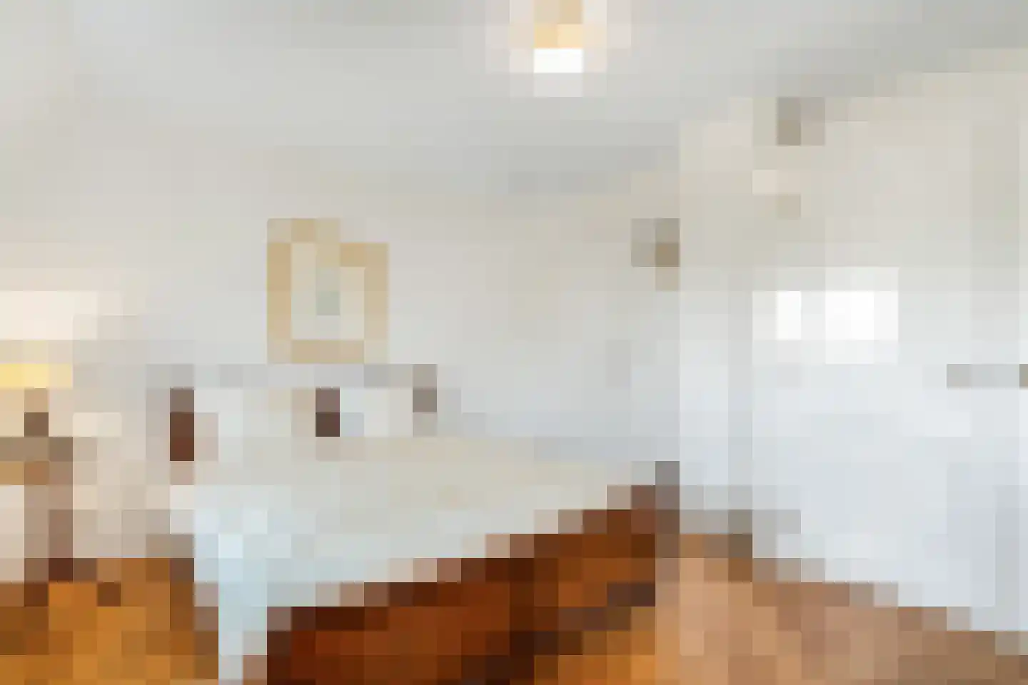 Langeweg 105 Sommelsdijk thumbnail 34