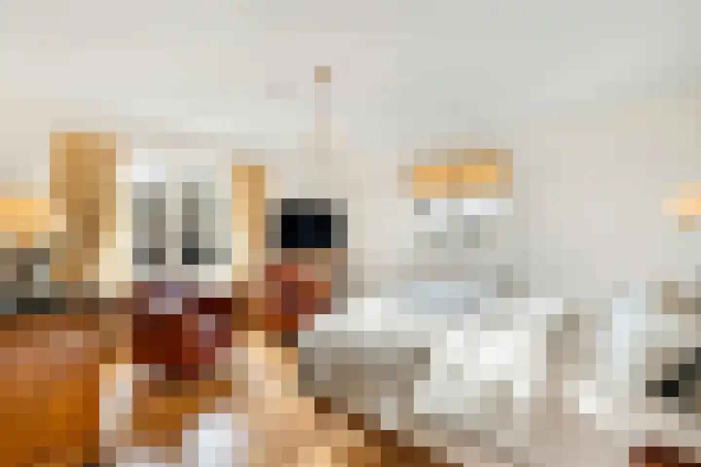 Langeweg 105 Sommelsdijk thumbnail 37