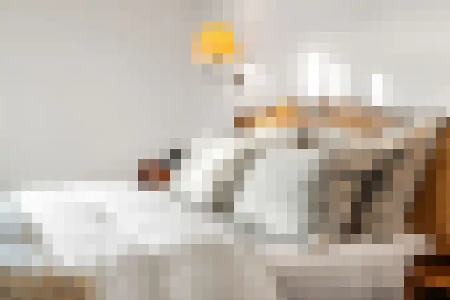 Langeweg 105 Sommelsdijk thumbnail 38