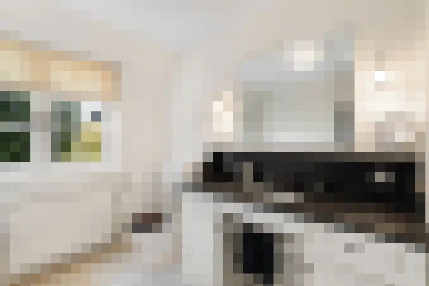 Langeweg 105 Sommelsdijk thumbnail 42