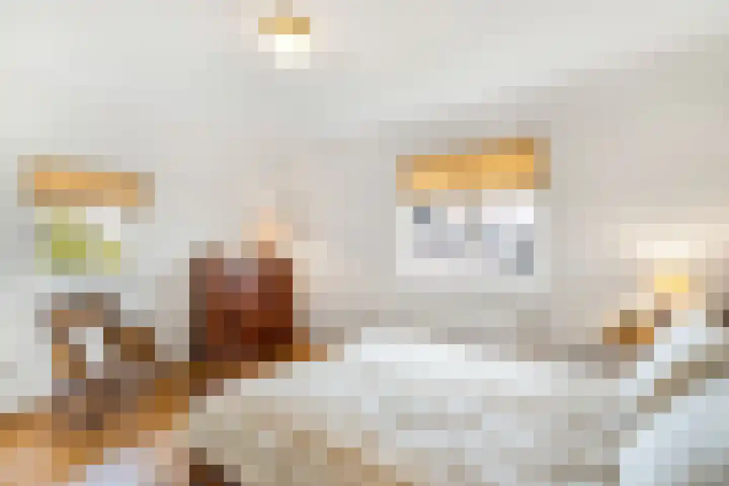 Langeweg 105 Sommelsdijk thumbnail 42