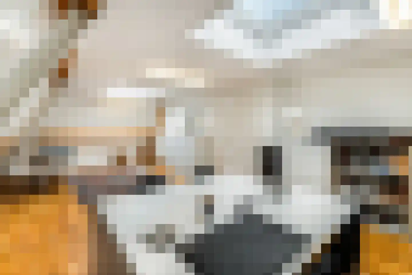 Langeweg 105 Sommelsdijk thumbnail 49
