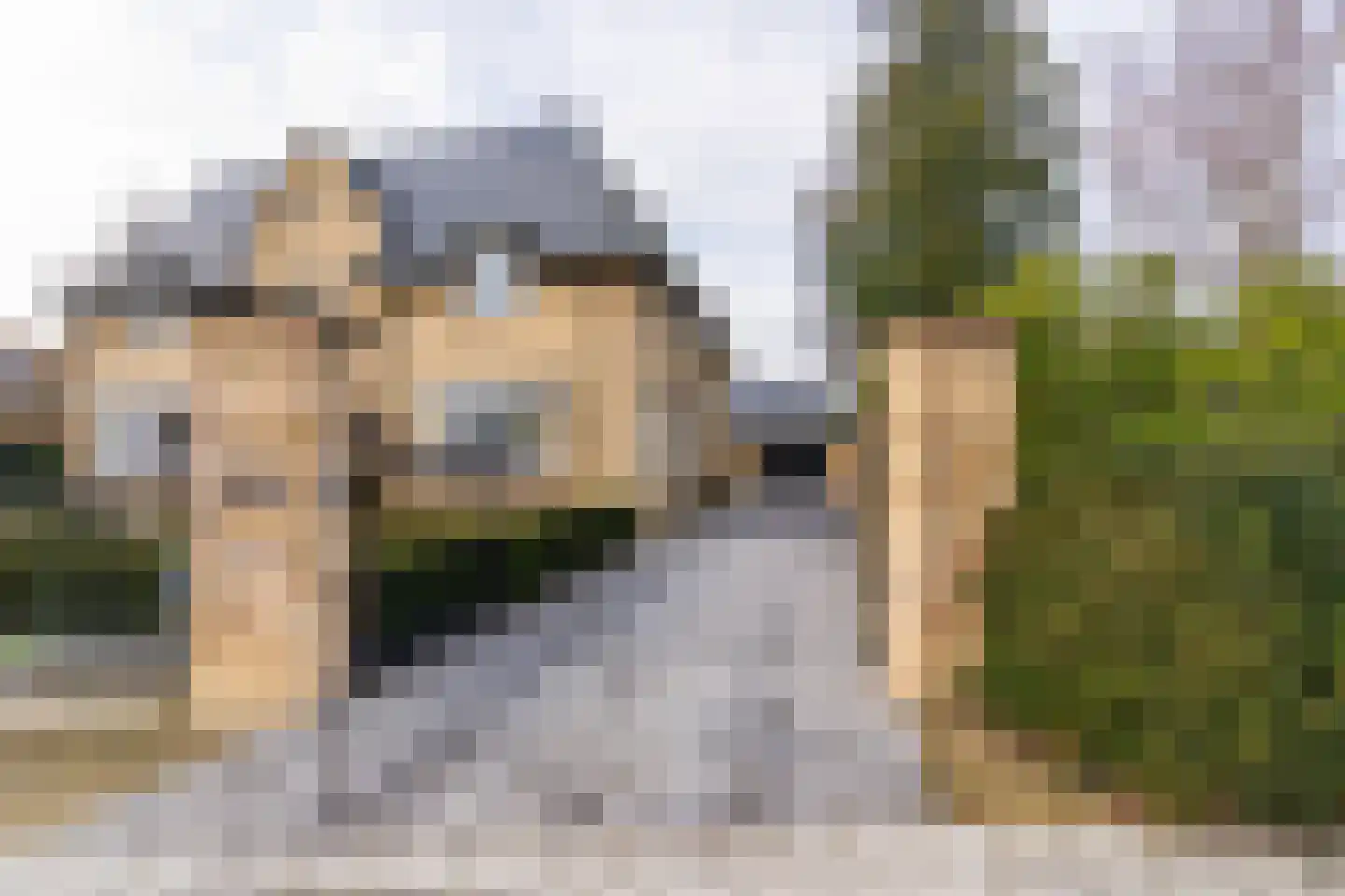 Langeweg 105 Sommelsdijk thumbnail 5