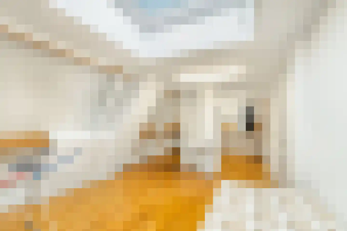 Langeweg 105 Sommelsdijk thumbnail 51