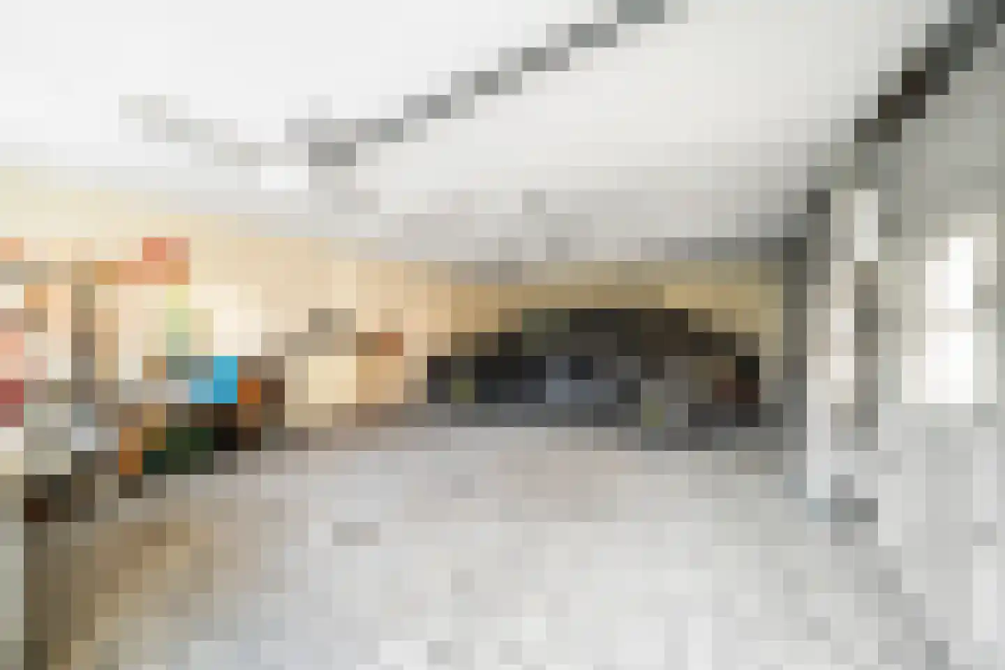Langeweg 105 Sommelsdijk thumbnail 55