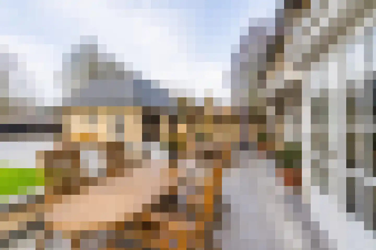 Langeweg 105 Sommelsdijk thumbnail 64