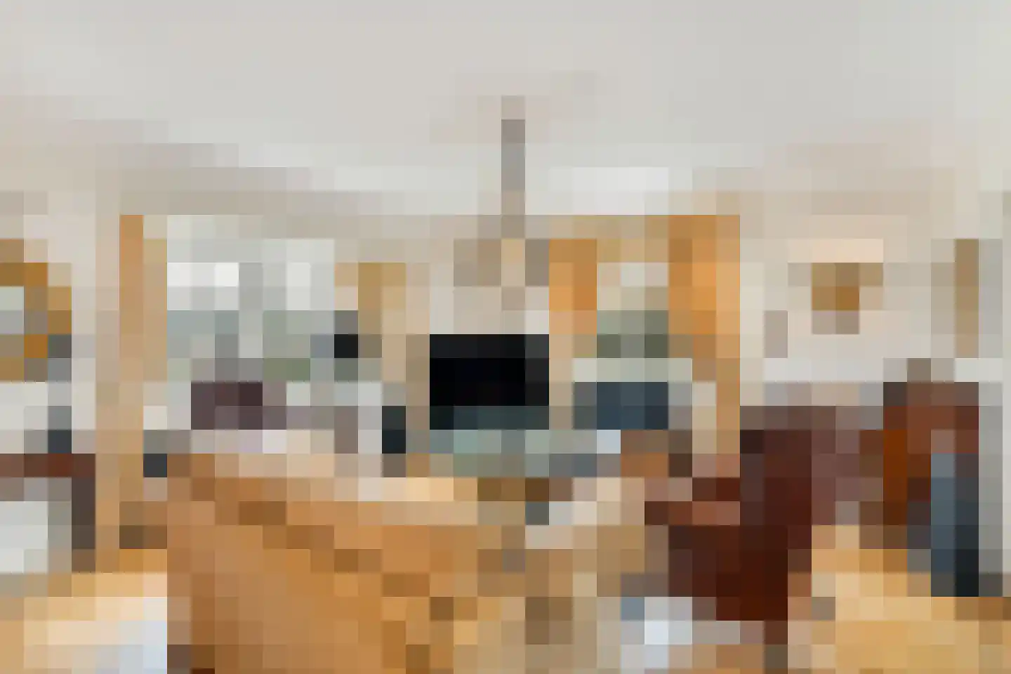 Langeweg 105 Sommelsdijk thumbnail 8