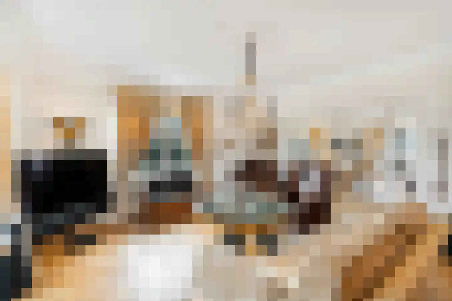 Langeweg 105 Sommelsdijk thumbnail 9