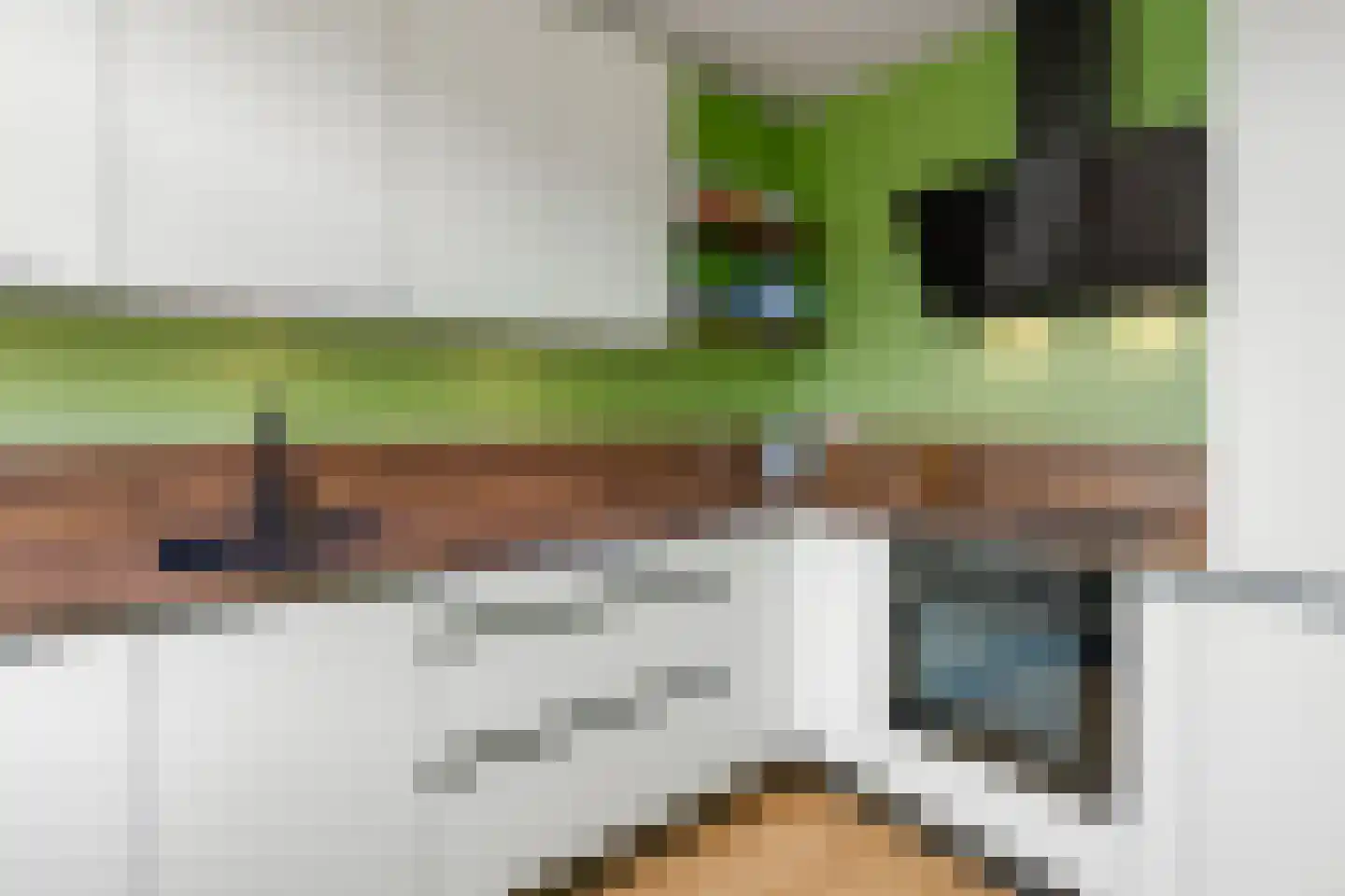 Langeweg 107 Vianen thumbnail 11