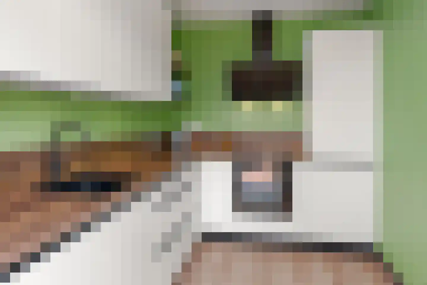 Langeweg 107 Vianen thumbnail 18