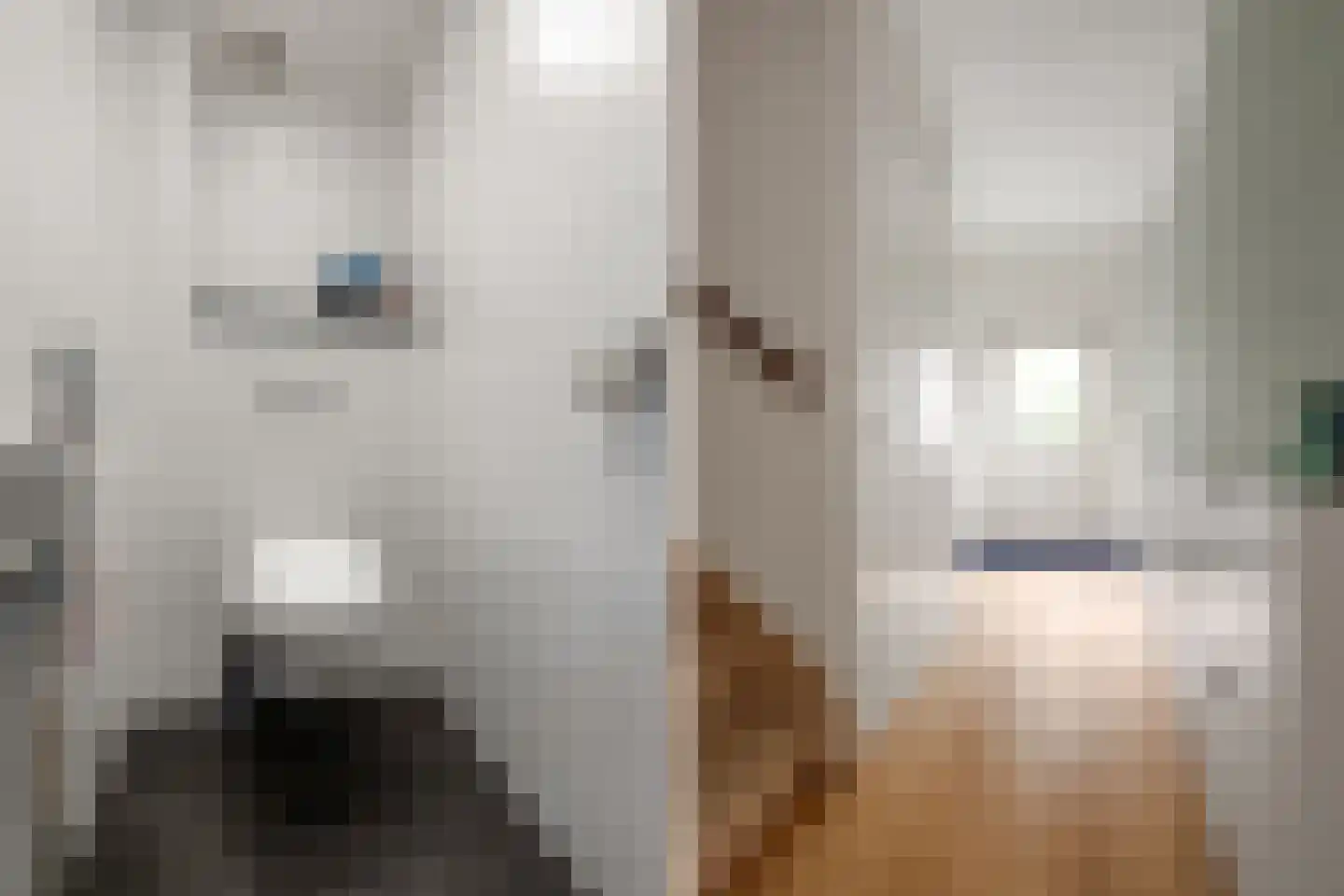Langeweg 107 Vianen thumbnail 20
