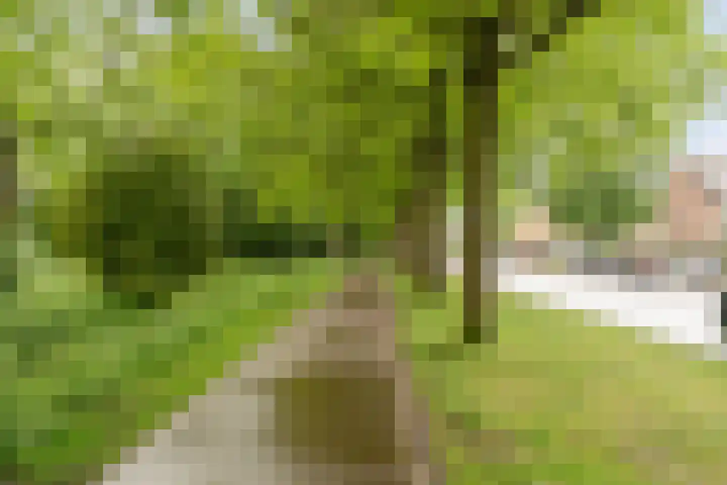 Langeweg 107 Vianen thumbnail 33