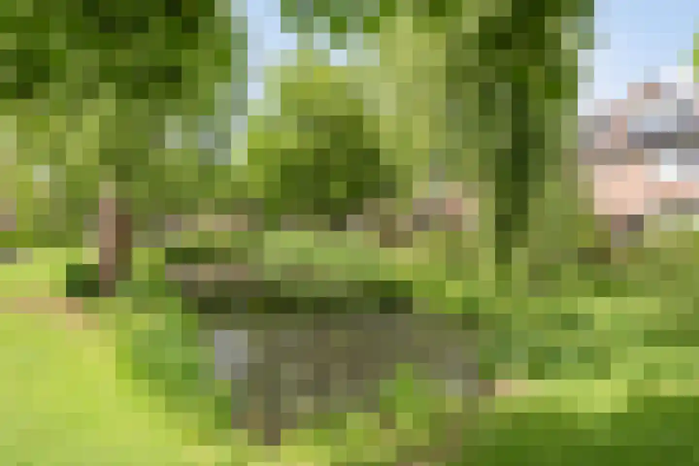 Langeweg 107 Vianen thumbnail 34