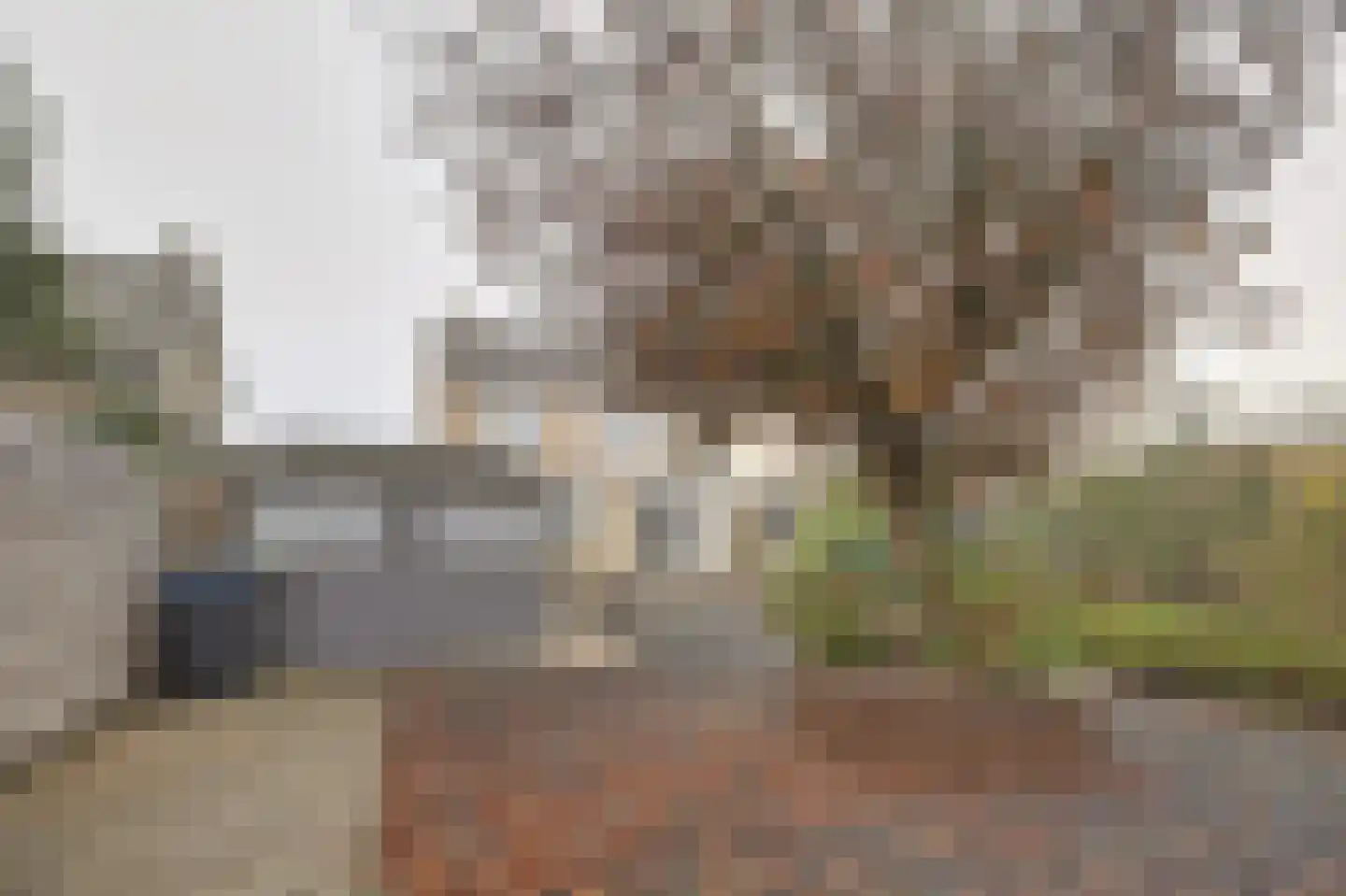 Langeweg 11 De Heen thumbnail 31