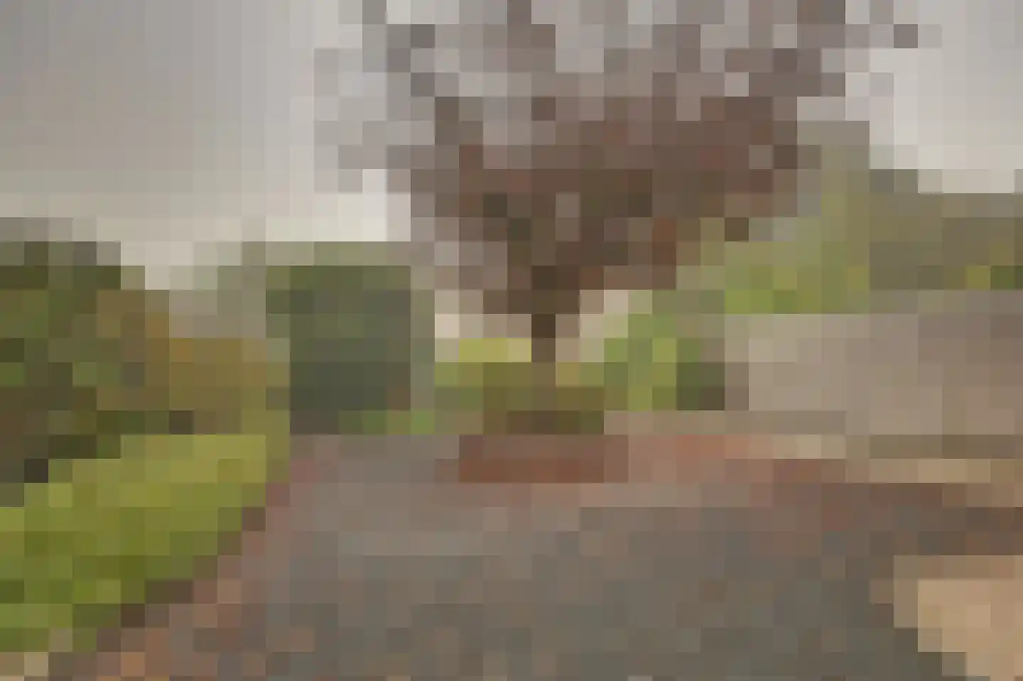 Langeweg 11 De Heen thumbnail 34