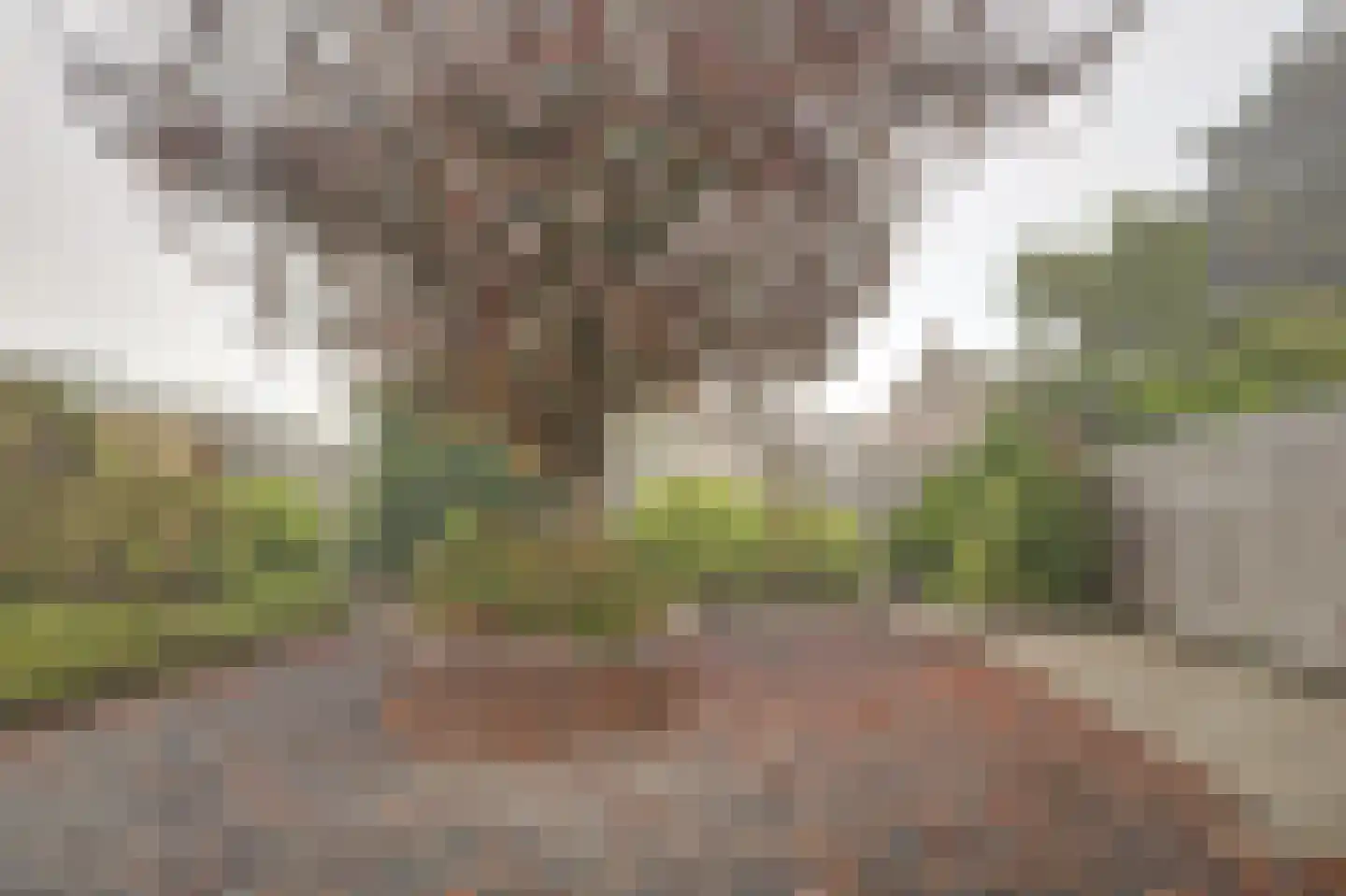 Langeweg 11 De Heen thumbnail 35