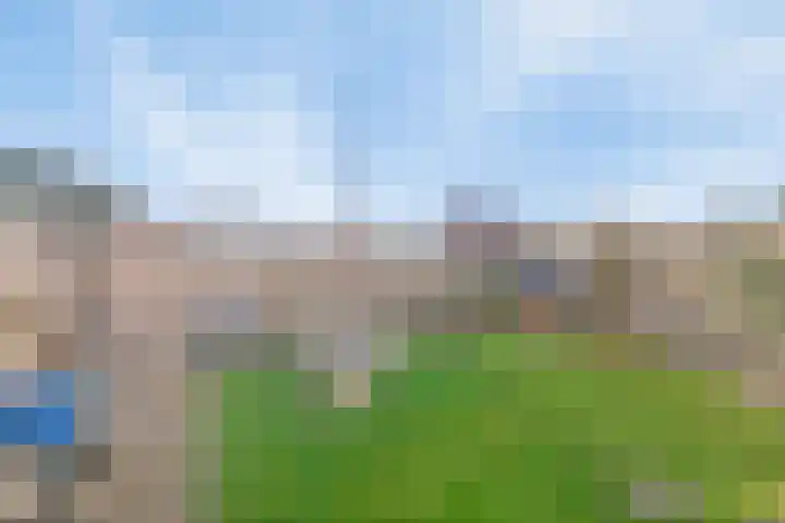 Langeweg 112 022 Breskens thumbnail 20