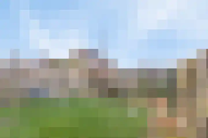 Langeweg 112 022 Breskens thumbnail 21