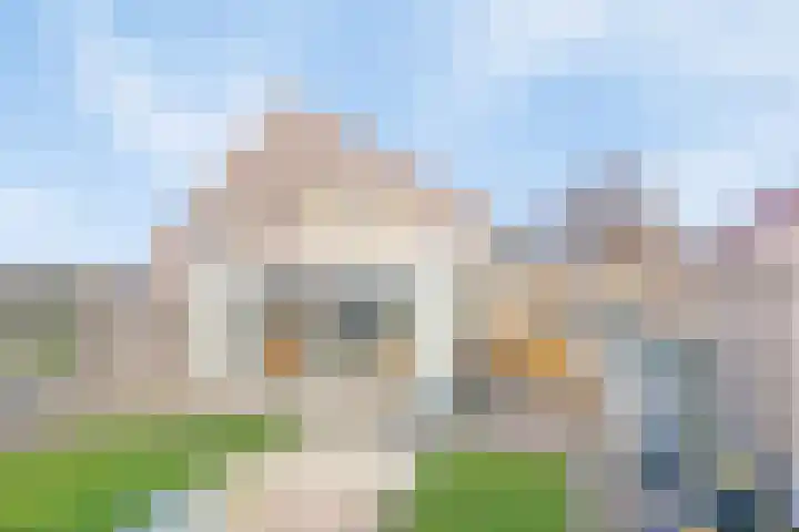 Langeweg 112 022 Breskens thumbnail 22