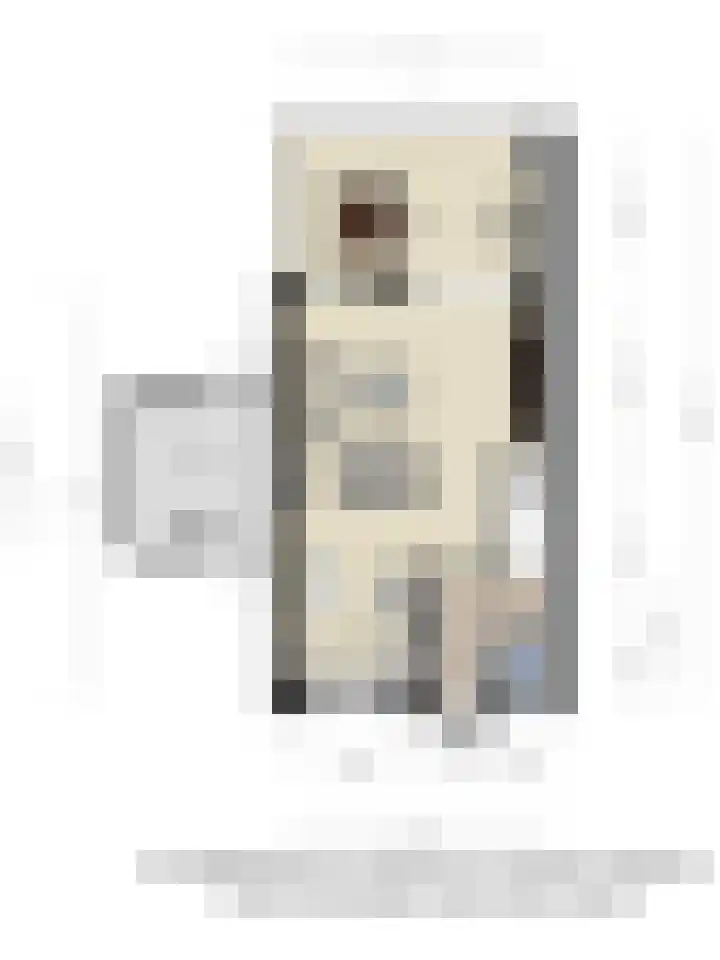 Langeweg 112 022 Breskens thumbnail 24