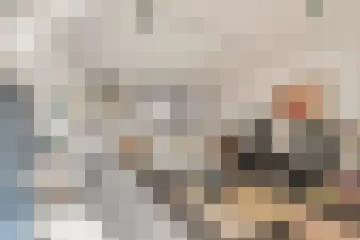 Langeweg 112 022 Breskens thumbnail 7