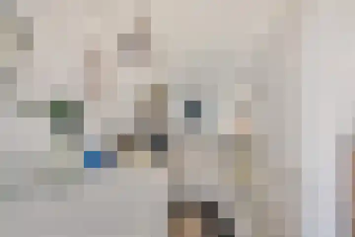 Langeweg 112 022 Breskens thumbnail 9