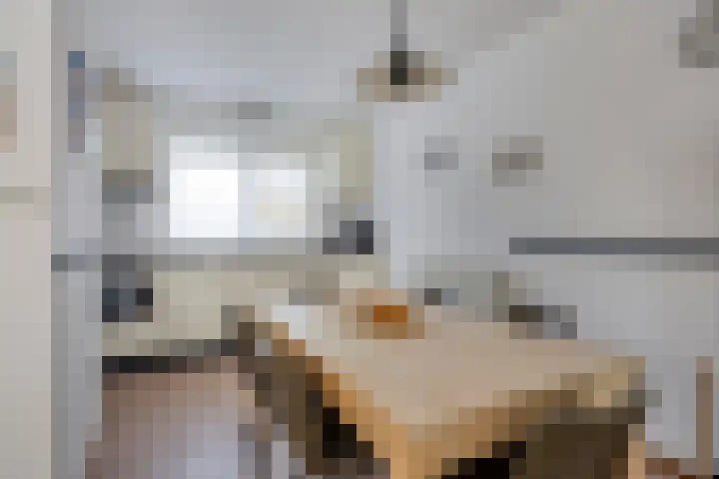 Langeweg 112 030 Breskens thumbnail 5