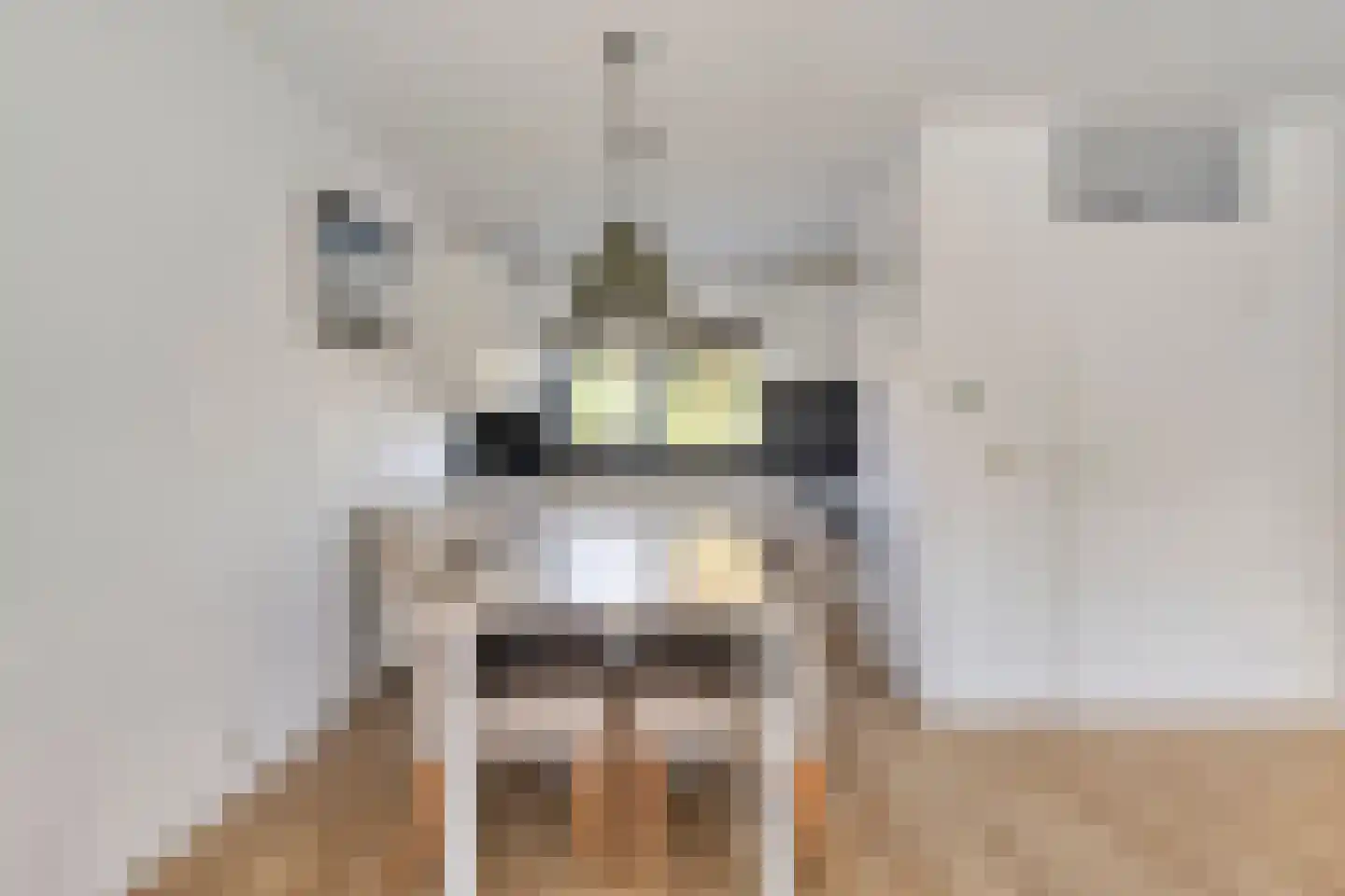 Langeweg 112 057 Breskens thumbnail 6