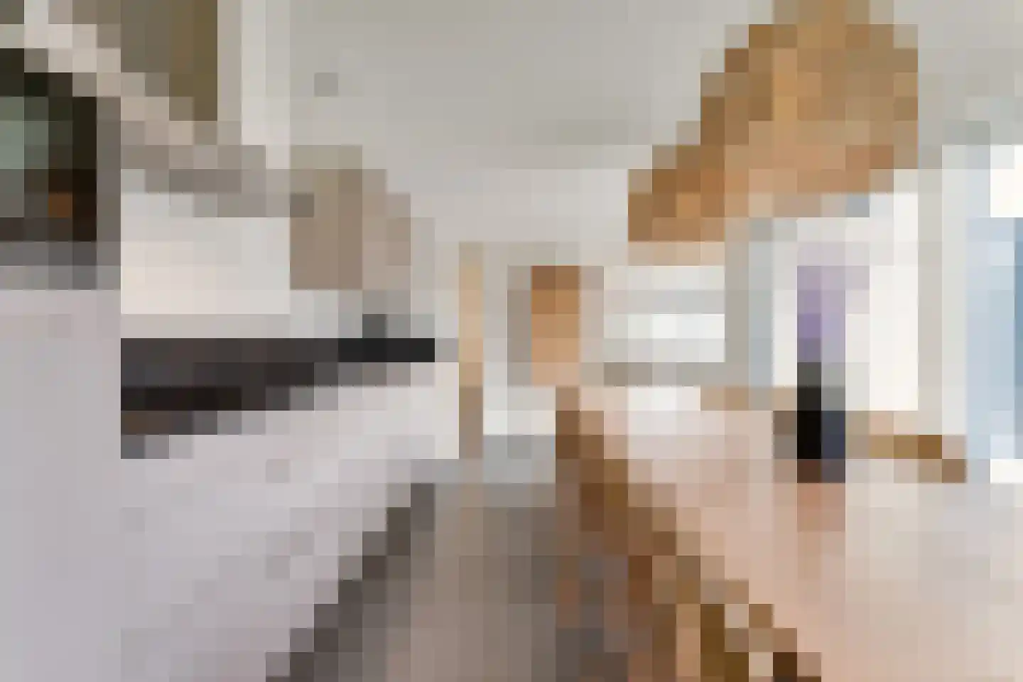 Langeweg 112 401 Breskens thumbnail 9