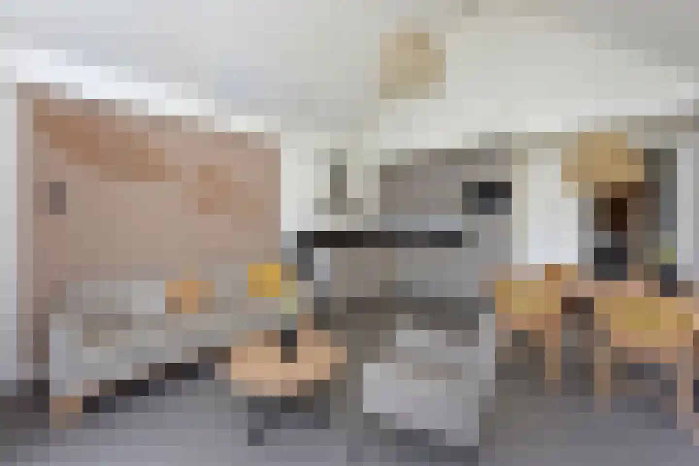 Langeweg 112 424 Breskens thumbnail 8