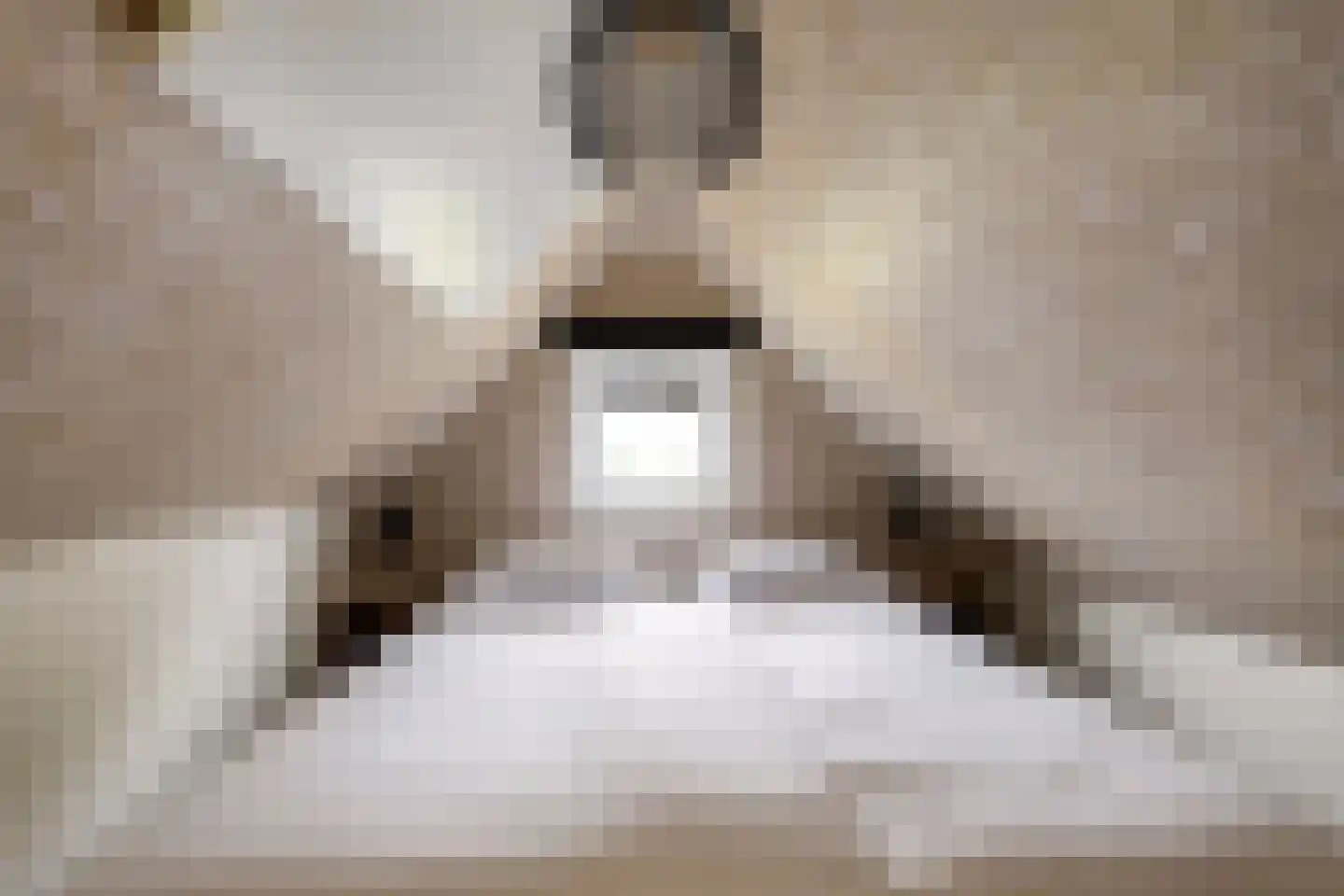 Langeweg 112 441B Breskens thumbnail 12