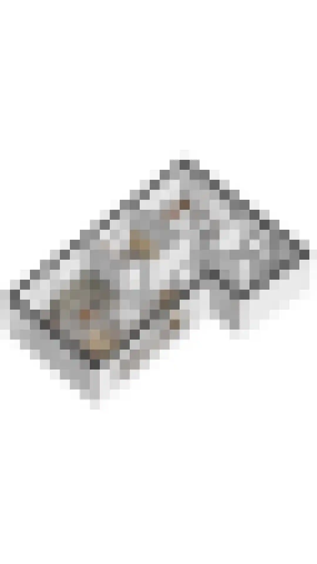 Langeweg 112 459A Breskens thumbnail 27