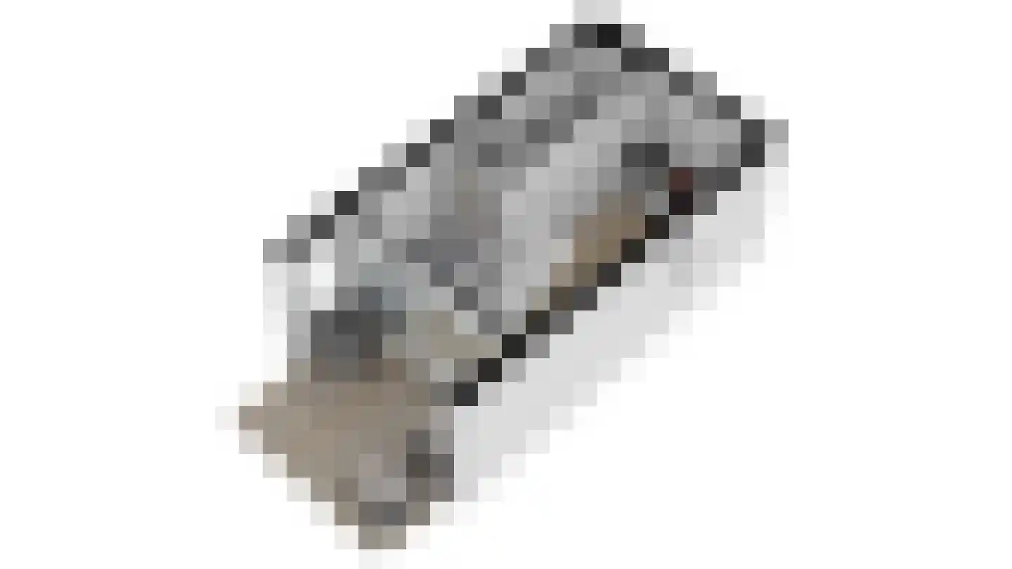 Langeweg 112 472A Breskens thumbnail 21