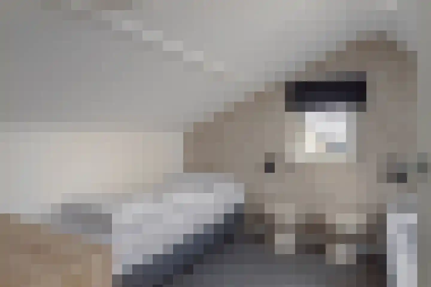 Langeweg 112 493B Breskens thumbnail 18