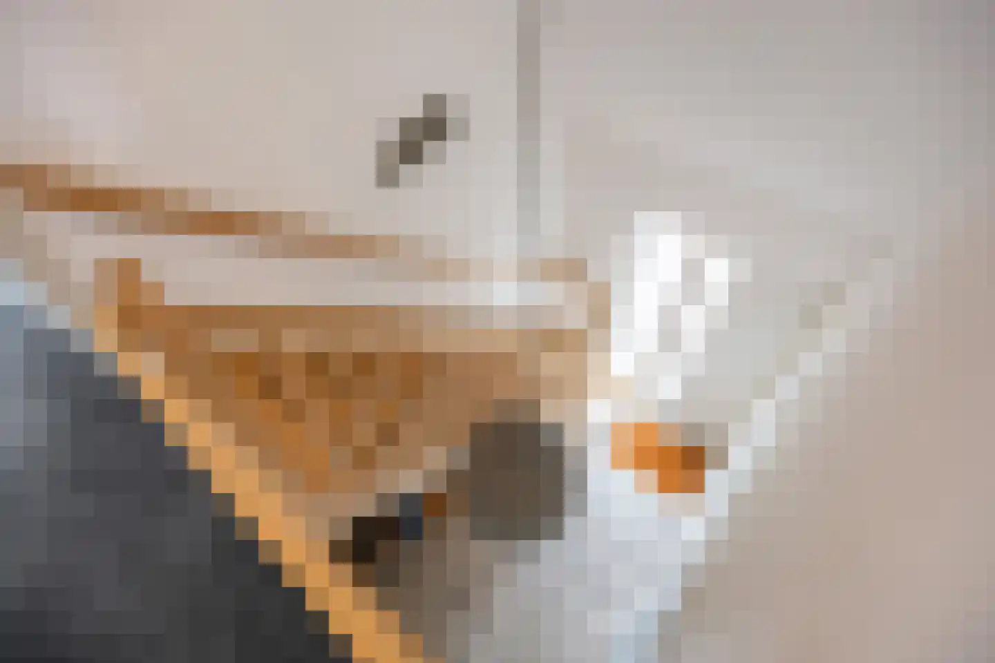 Langeweg 12 Grootegast thumbnail 50