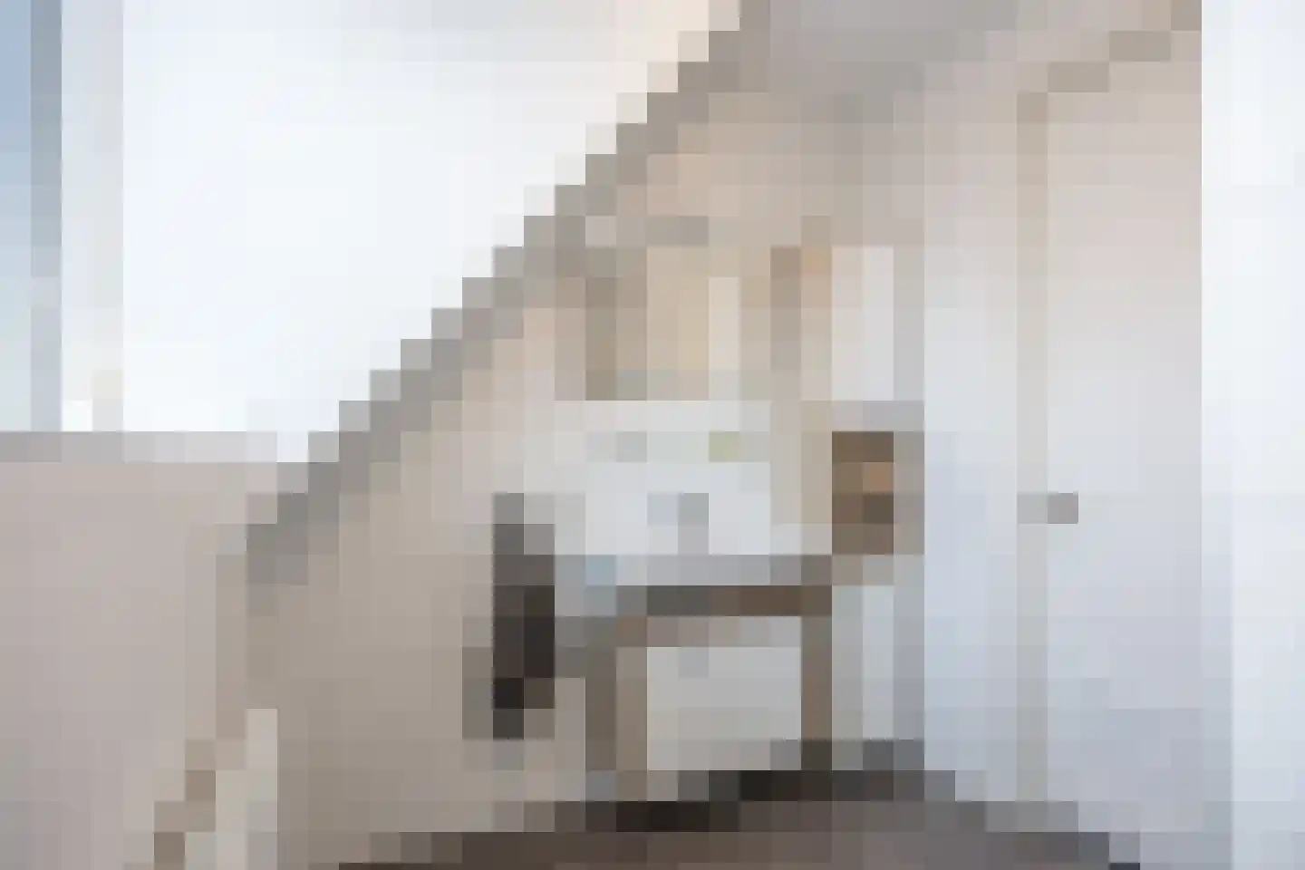 Langeweg 12 Grootegast thumbnail 60