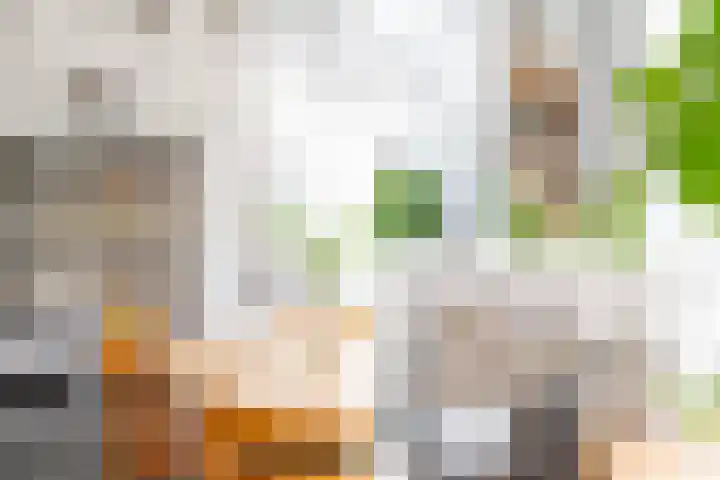 Langeweg 12 Rockanje thumbnail 10