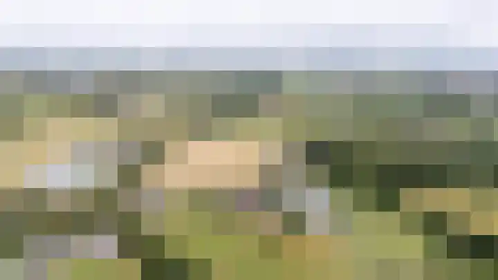Langeweg 12 Rockanje thumbnail 102