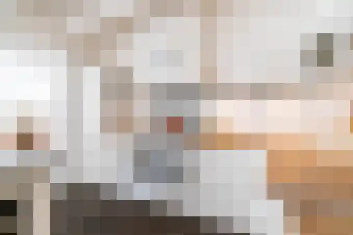 Langeweg 12 Rockanje thumbnail 12