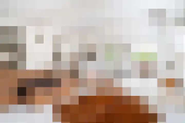 Langeweg 12 Rockanje thumbnail 18