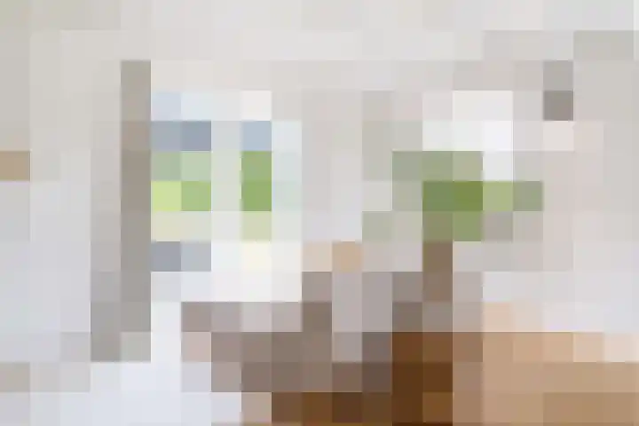 Langeweg 12 Rockanje thumbnail 24