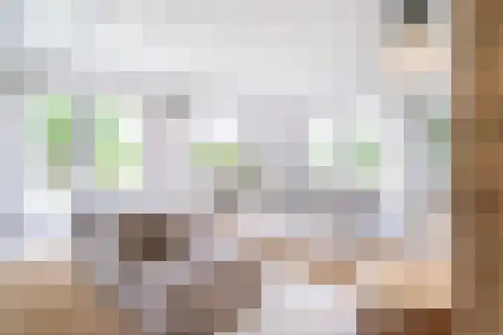 Langeweg 12 Rockanje thumbnail 28